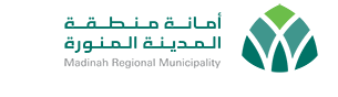 Vision 2030 Logo